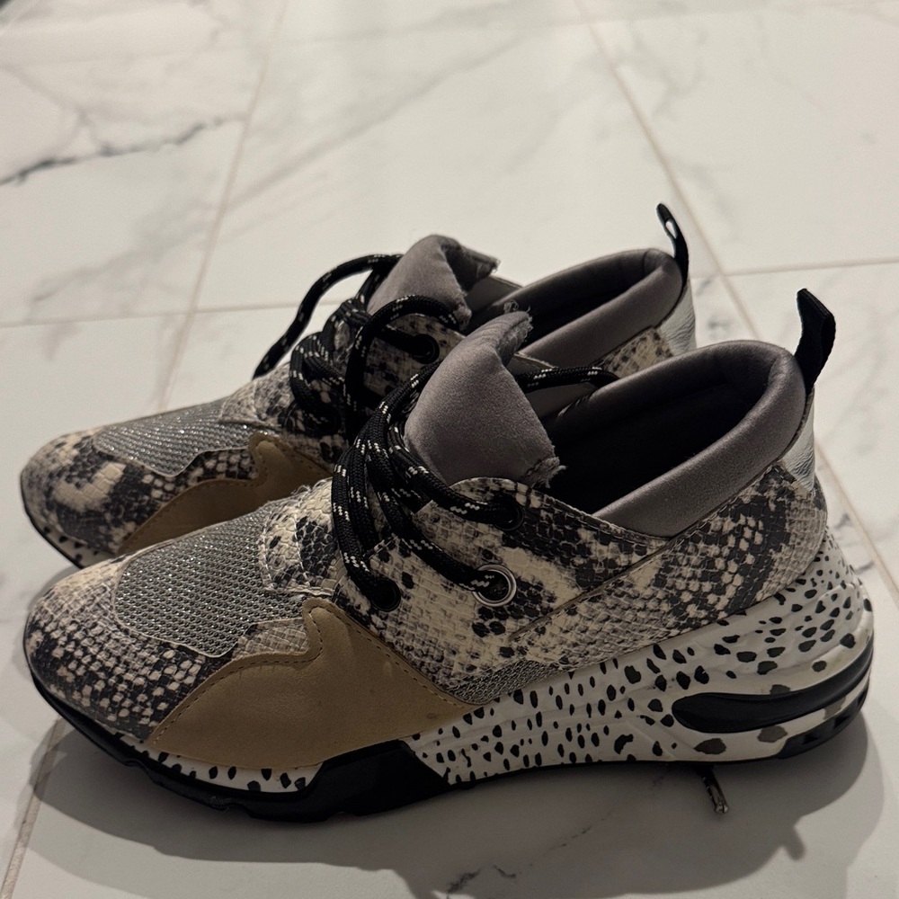 Steve Madden Snakeskin Lace-Up Sneakers